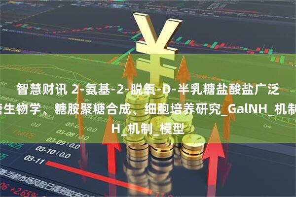 智慧财讯 2-氨基-2-脱氧-D-半乳糖盐酸盐广泛用于糖生物学、糖胺聚糖合成、细胞培养研究_GalNH_机制_模型